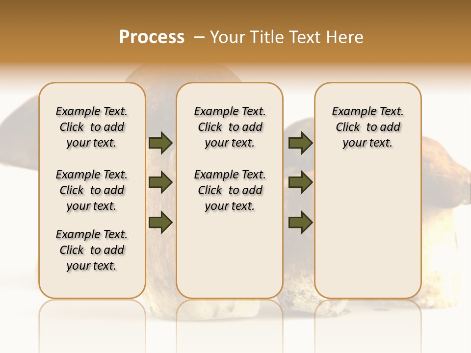 Fungus Porcino Cultivation PowerPoint Template