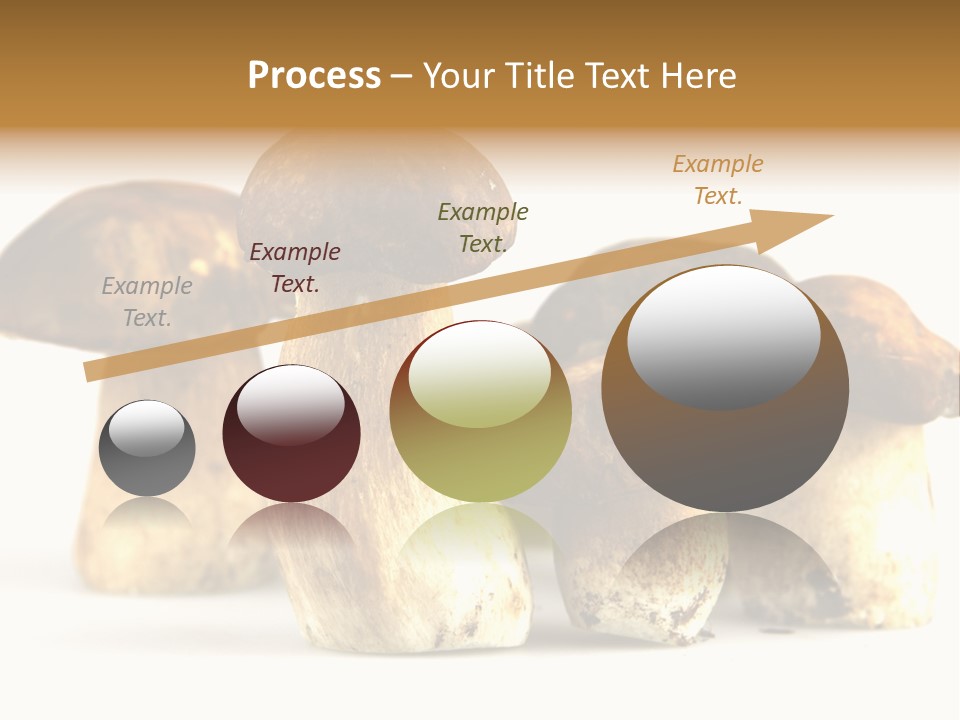 Fungus Porcino Cultivation PowerPoint Template