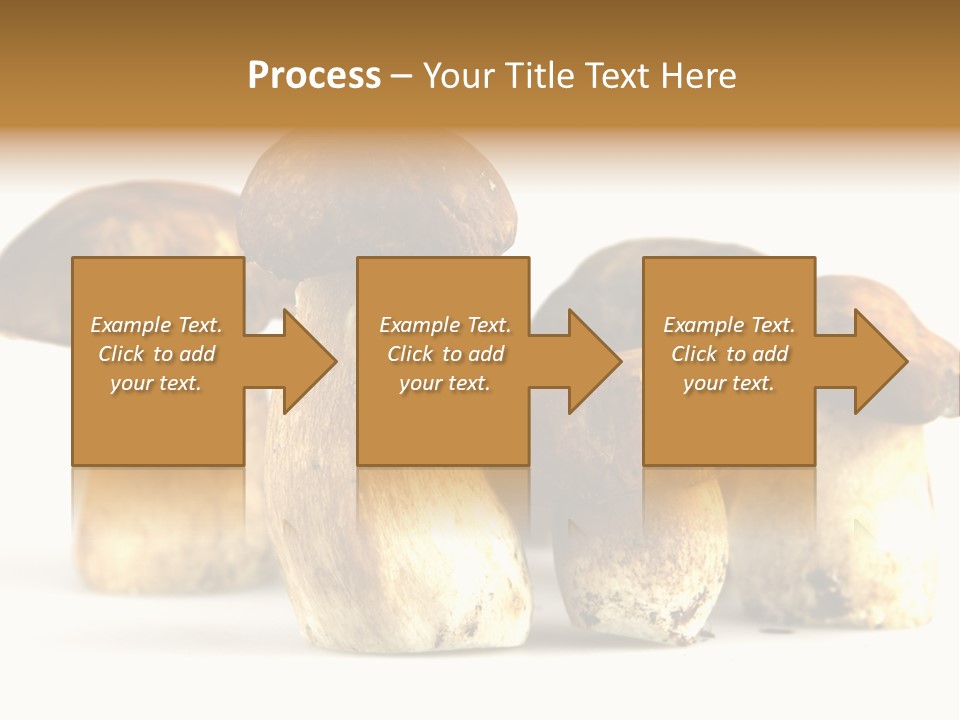 Fungus Porcino Cultivation PowerPoint Template