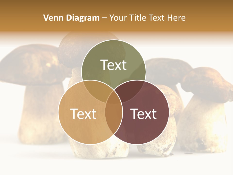 Fungus Porcino Cultivation PowerPoint Template