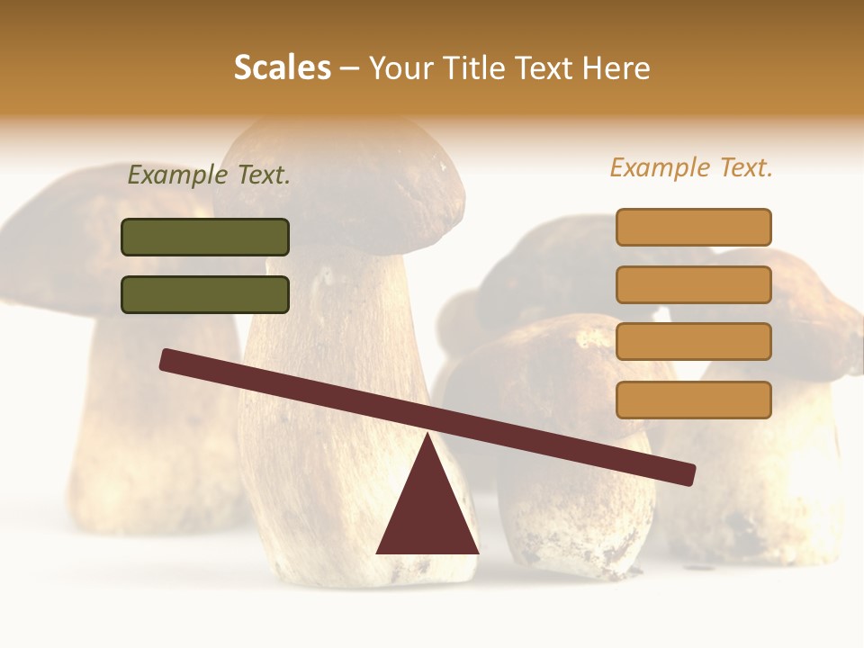 Fungus Porcino Cultivation PowerPoint Template