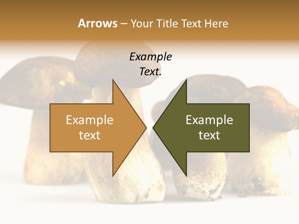 Fungus Porcino Cultivation PowerPoint Template