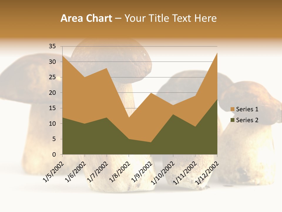 Fungus Porcino Cultivation PowerPoint Template