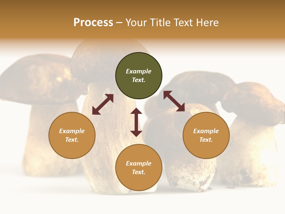 Fungus Porcino Cultivation PowerPoint Template