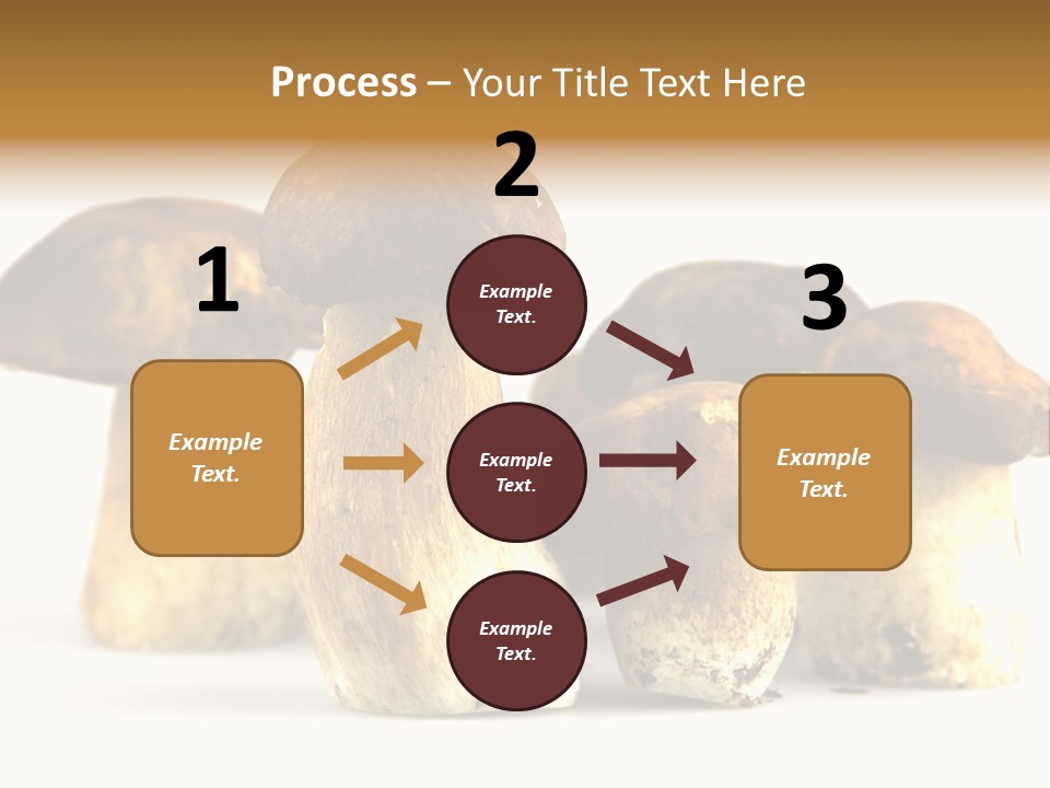 Fungus Porcino Cultivation PowerPoint Template
