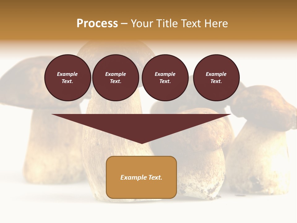 Fungus Porcino Cultivation PowerPoint Template