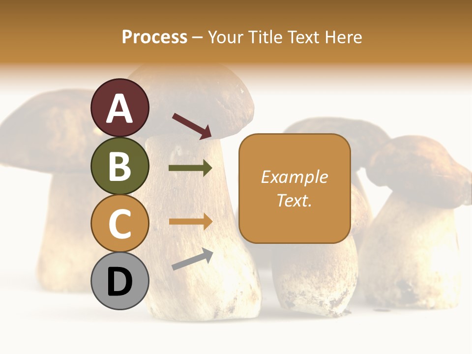 Fungus Porcino Cultivation PowerPoint Template