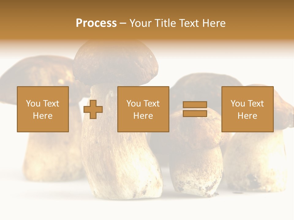 Fungus Porcino Cultivation PowerPoint Template