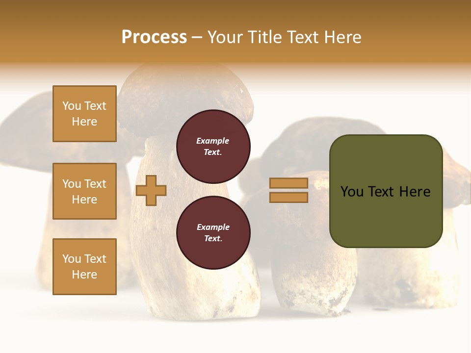 Fungus Porcino Cultivation PowerPoint Template