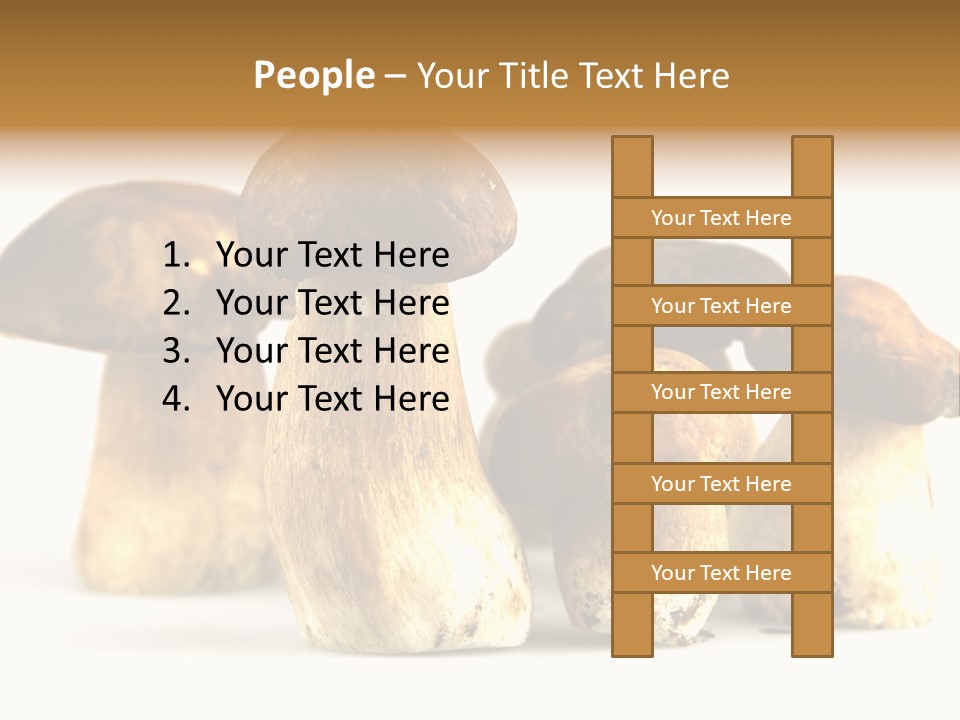 Fungus Porcino Cultivation PowerPoint Template