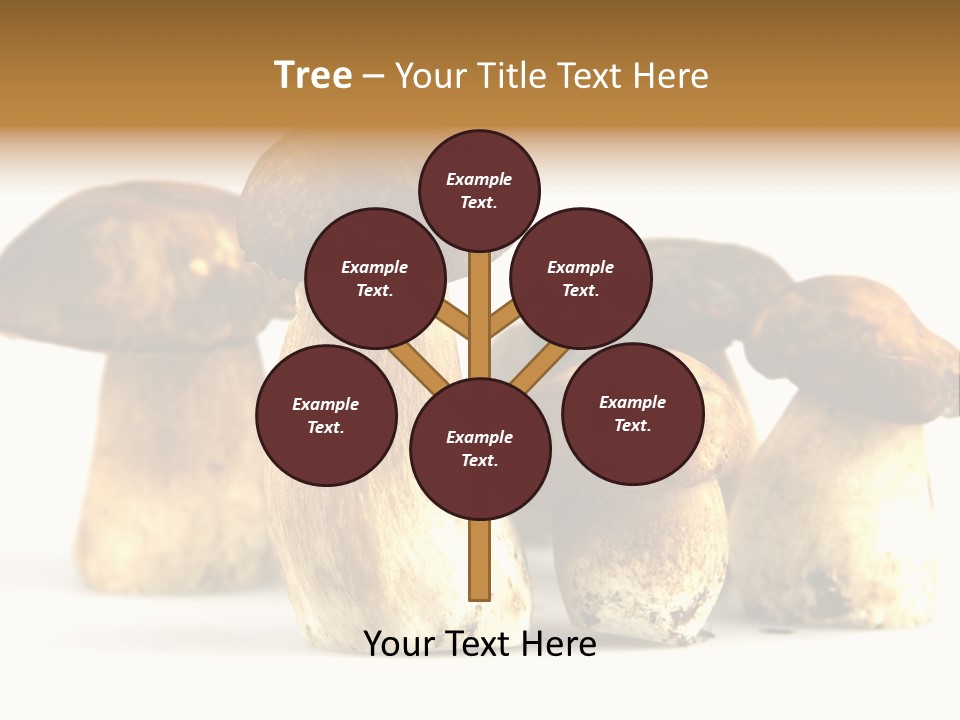 Fungus Porcino Cultivation PowerPoint Template