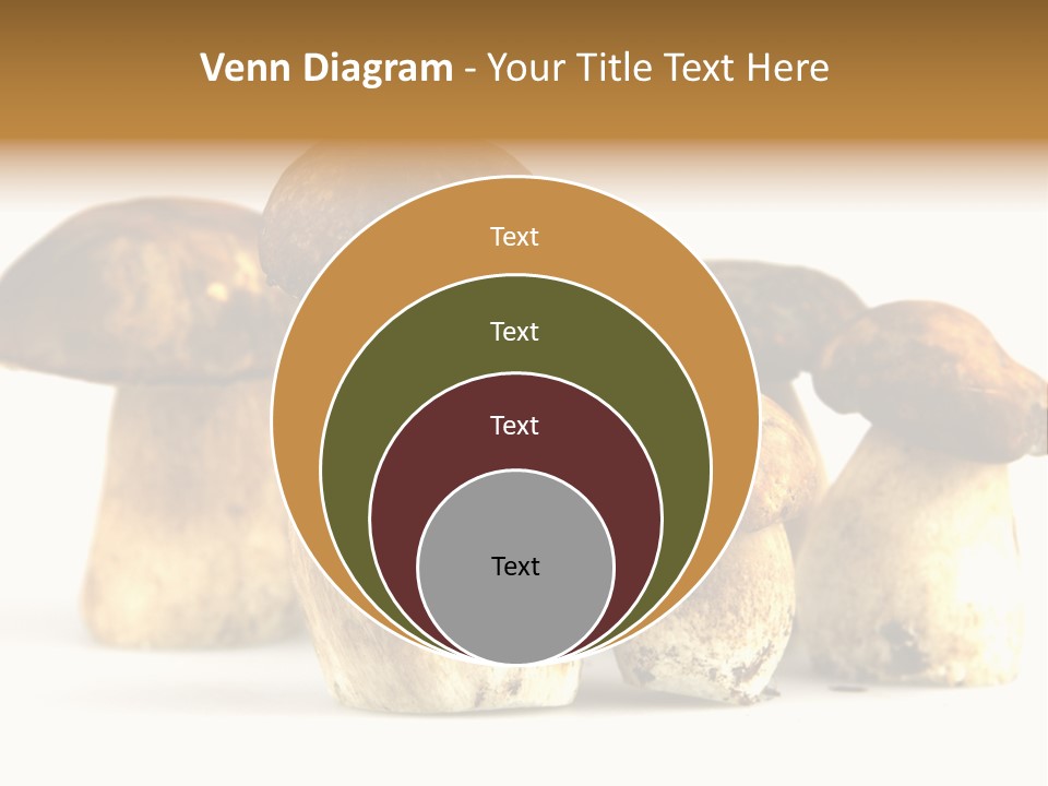 Fungus Porcino Cultivation PowerPoint Template
