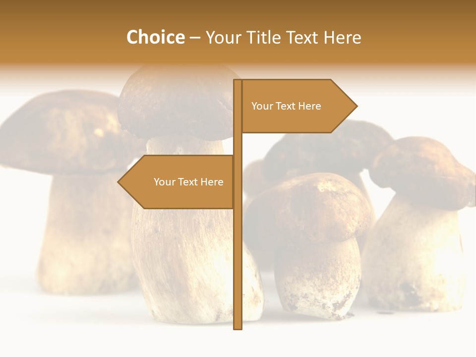 Fungus Porcino Cultivation PowerPoint Template