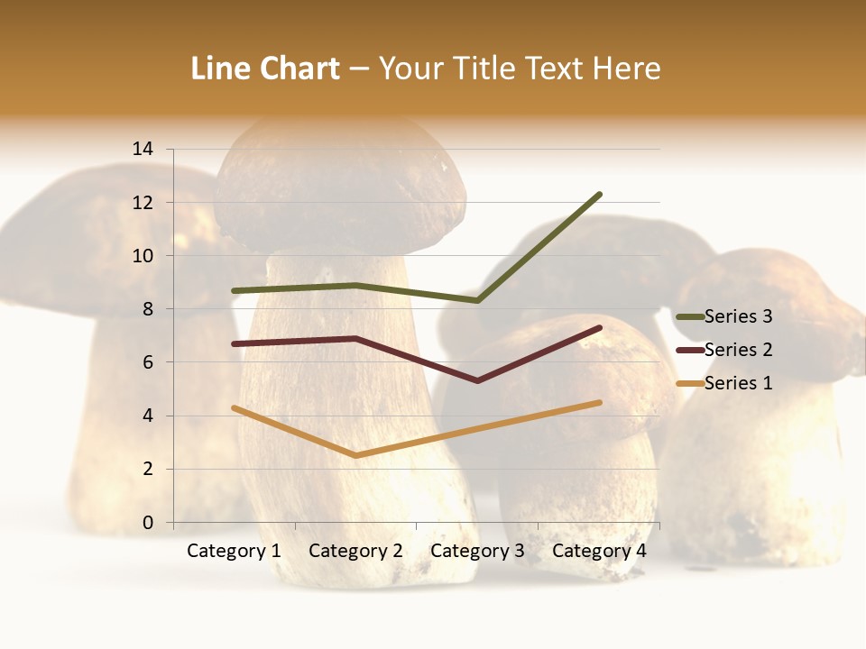 Fungus Porcino Cultivation PowerPoint Template