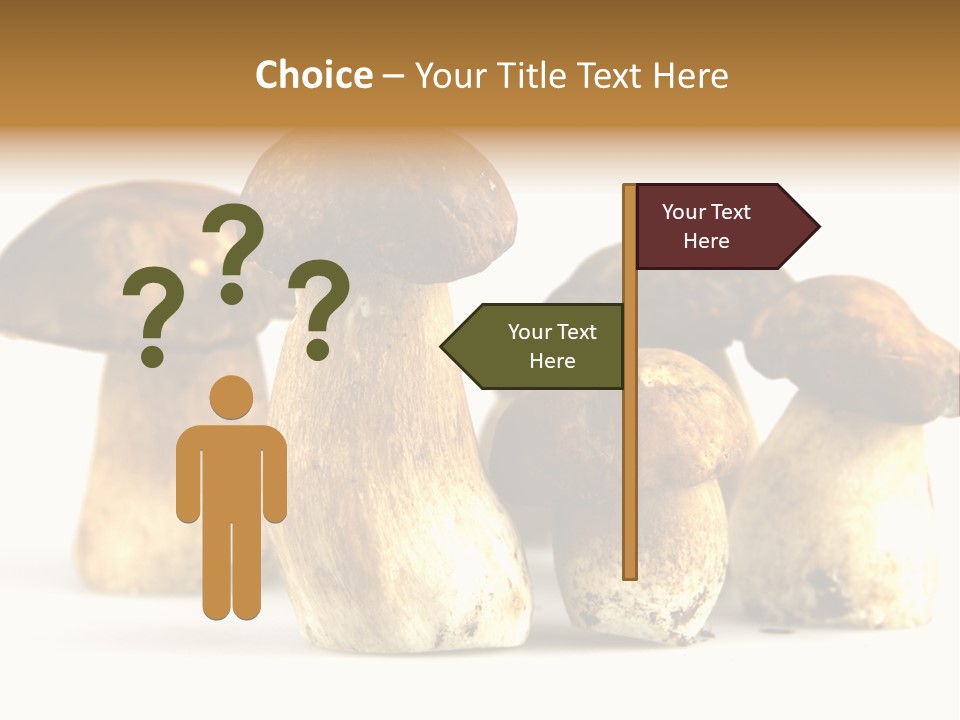 Fungus Porcino Cultivation PowerPoint Template