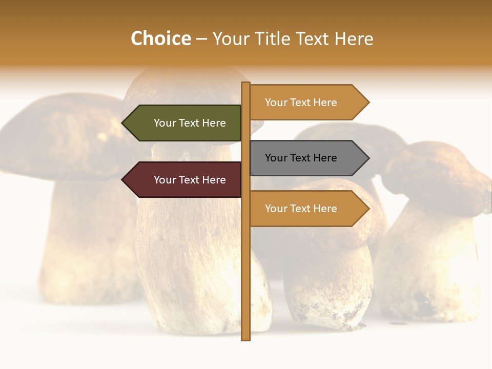Fungus Porcino Cultivation PowerPoint Template