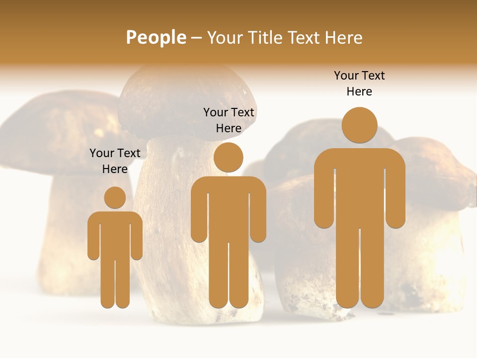 Fungus Porcino Cultivation PowerPoint Template