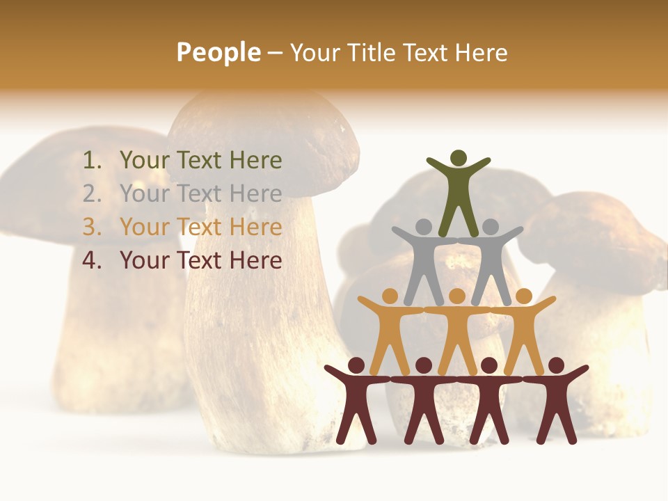 Fungus Porcino Cultivation PowerPoint Template