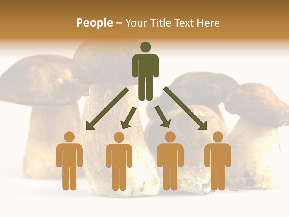 Fungus Porcino Cultivation PowerPoint Template