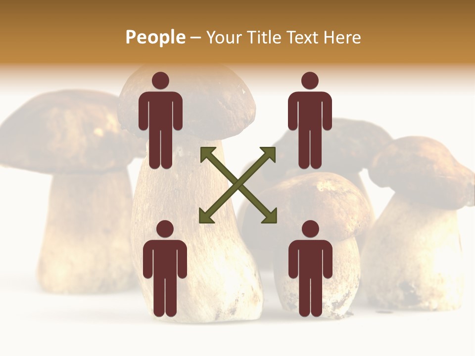 Fungus Porcino Cultivation PowerPoint Template