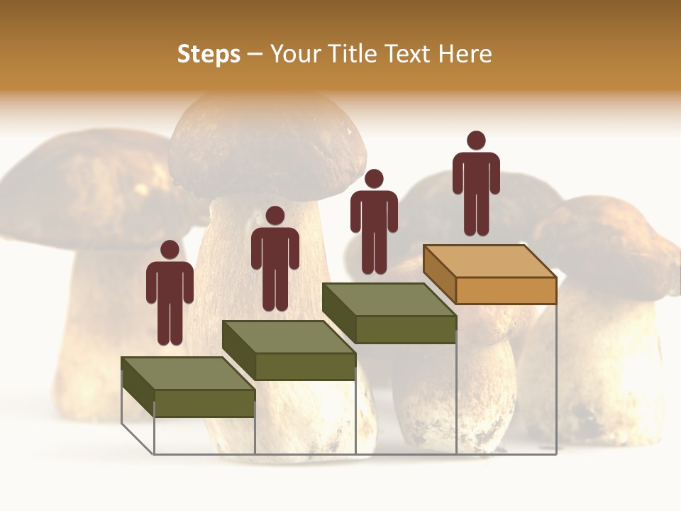 Fungus Porcino Cultivation PowerPoint Template