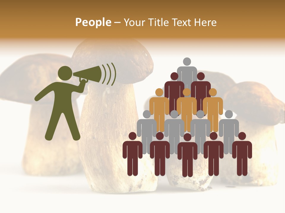 Fungus Porcino Cultivation PowerPoint Template