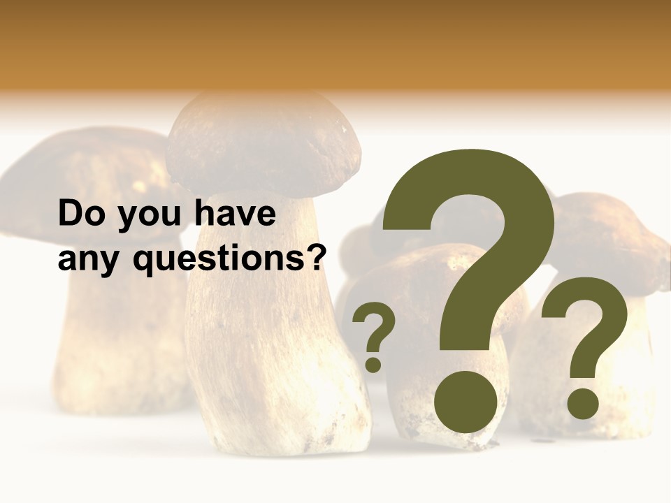 Fungus Porcino Cultivation PowerPoint Template