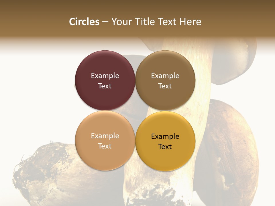 Food Mushroom Sauce PowerPoint Template