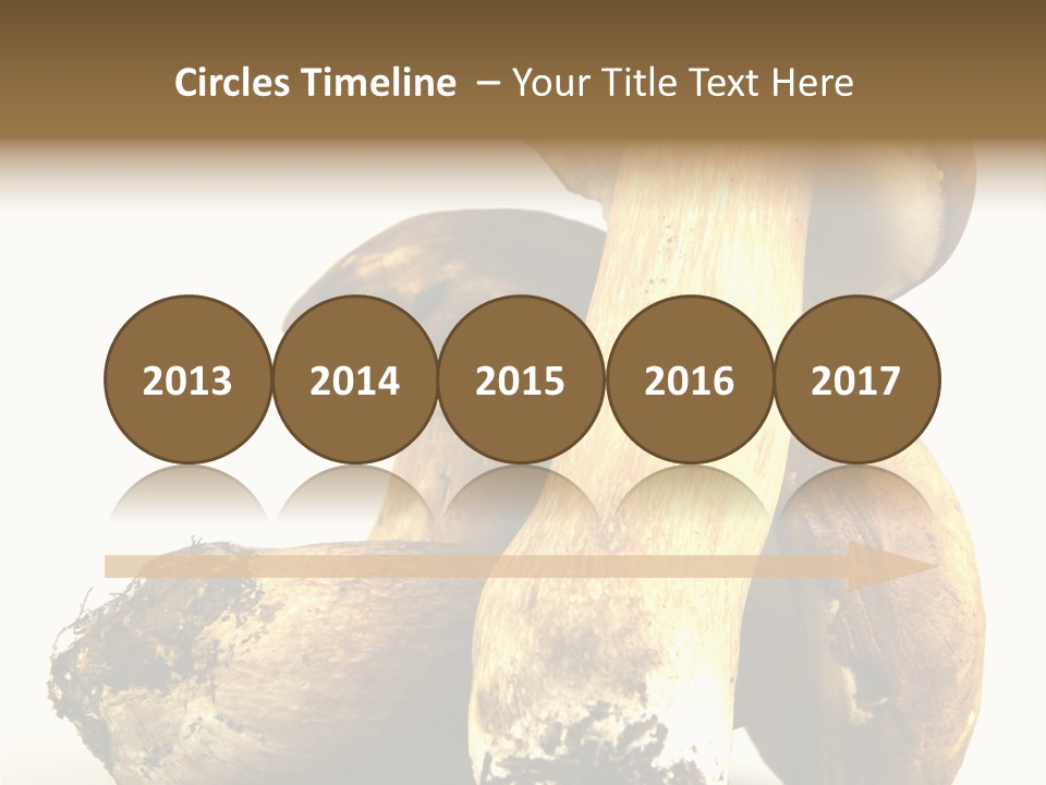 Food Mushroom Sauce PowerPoint Template