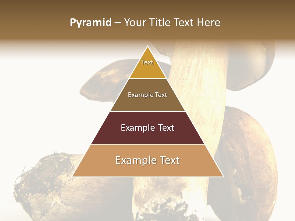 Food Mushroom Sauce PowerPoint Template