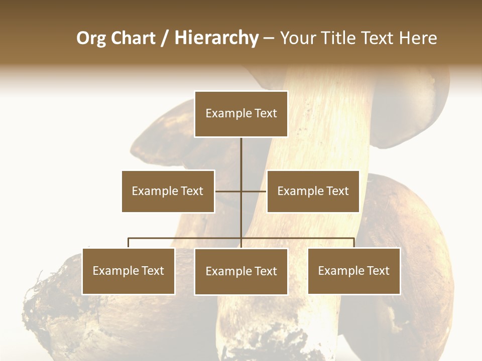 Food Mushroom Sauce PowerPoint Template