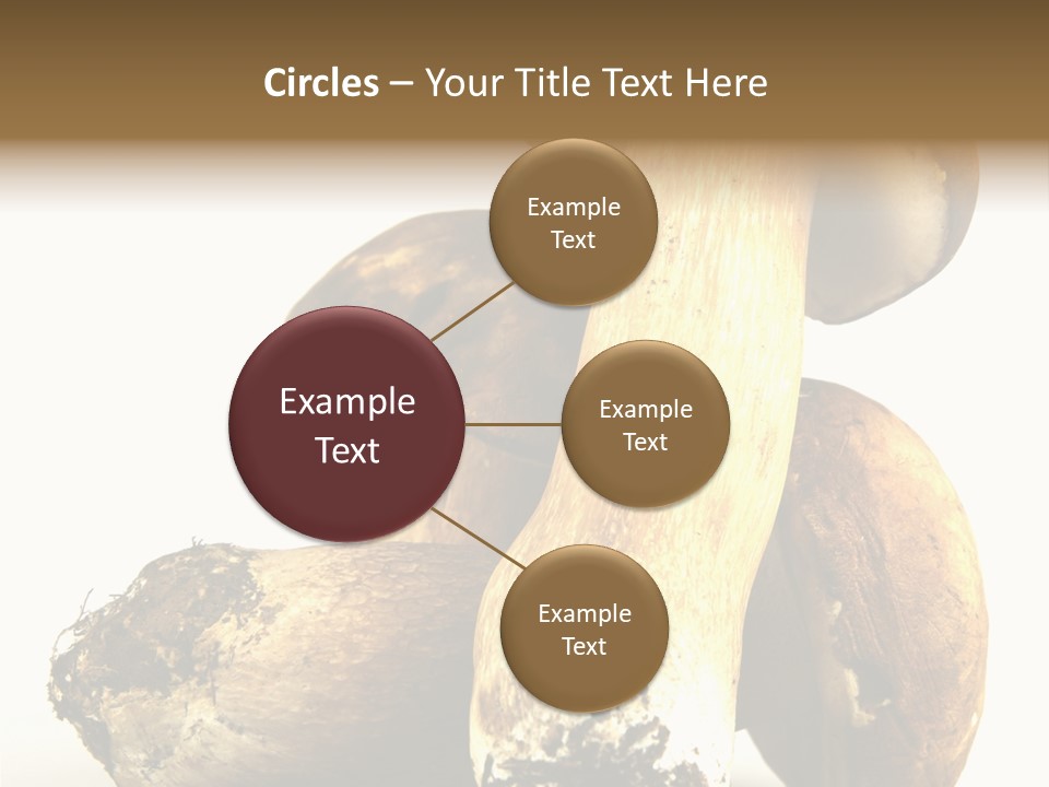 Food Mushroom Sauce PowerPoint Template