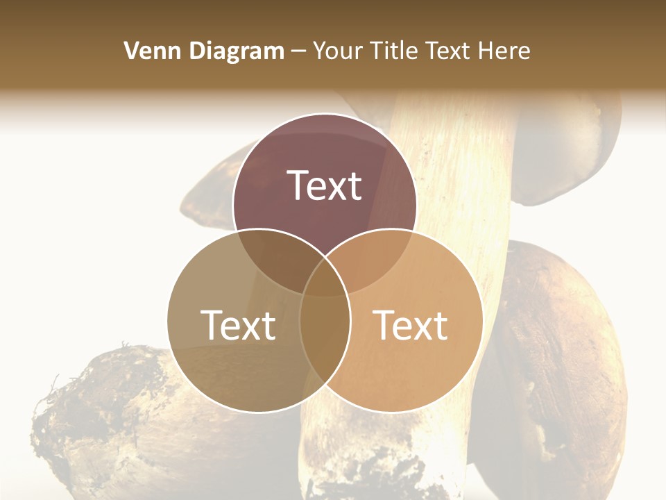 Food Mushroom Sauce PowerPoint Template