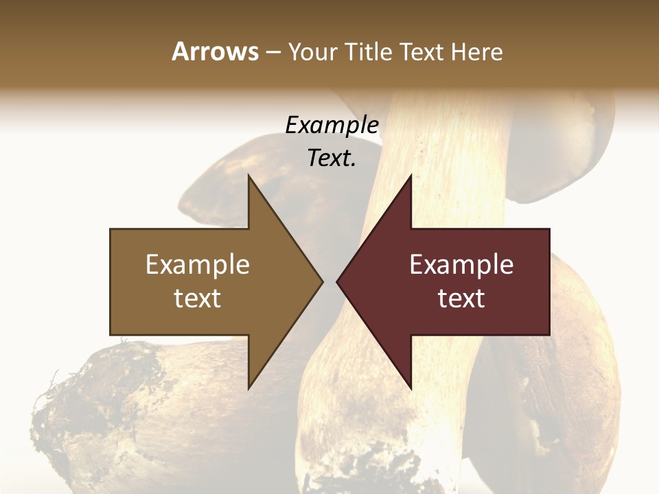 Food Mushroom Sauce PowerPoint Template
