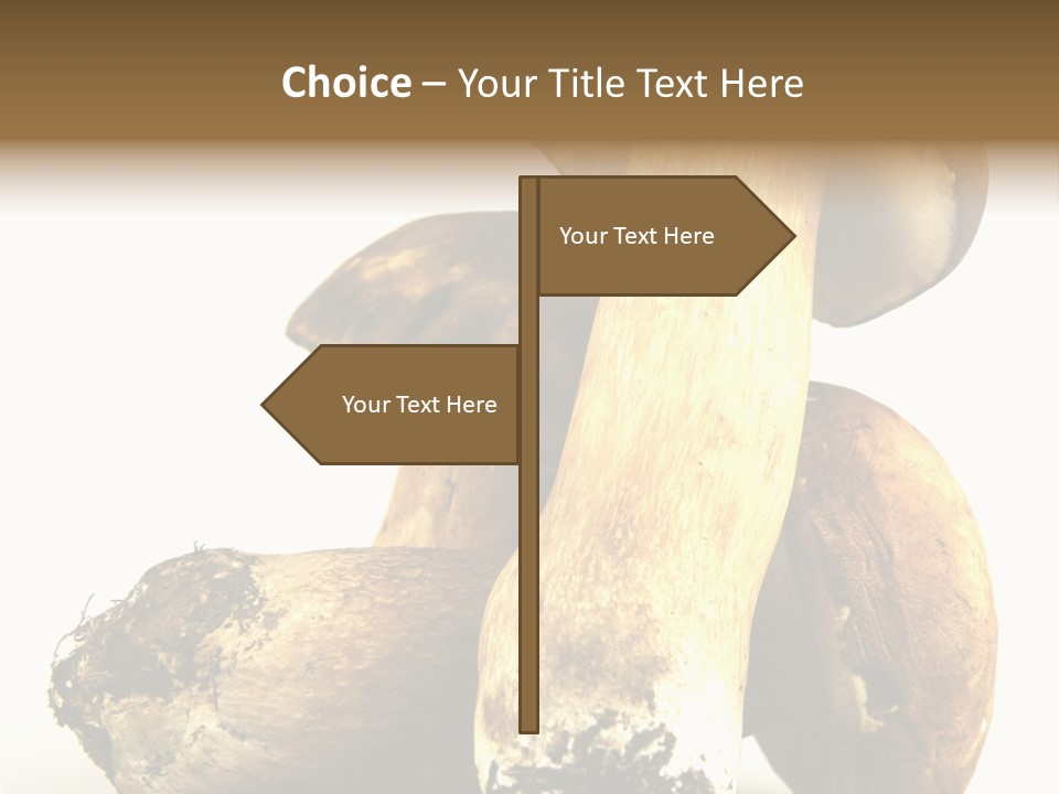 Food Mushroom Sauce PowerPoint Template