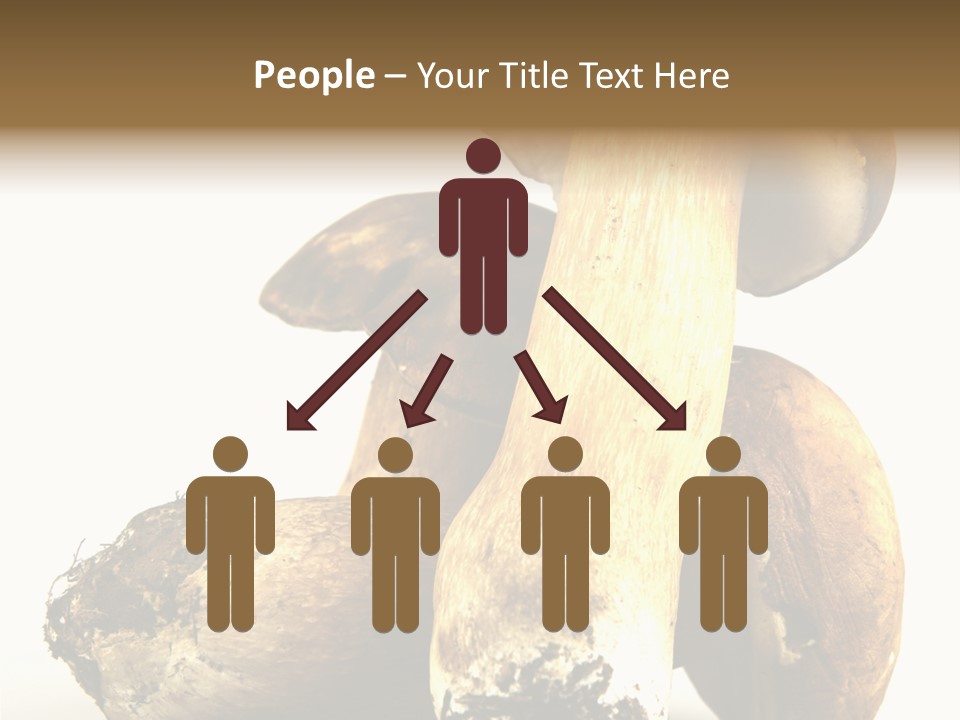 Food Mushroom Sauce PowerPoint Template