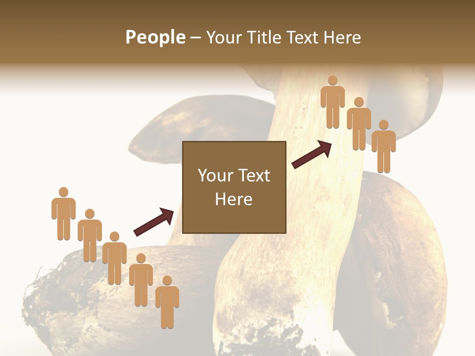 Food Mushroom Sauce PowerPoint Template