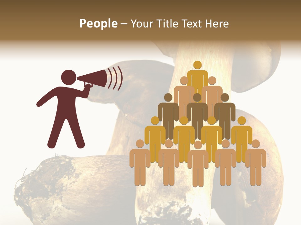 Food Mushroom Sauce PowerPoint Template