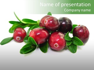 Weihnachten Cranberry Frucht PowerPoint Template