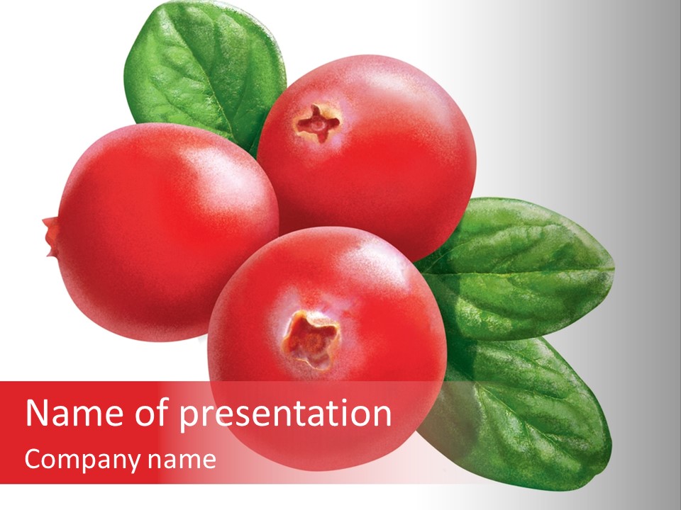 Illustration Isoliert Cranberries PowerPoint Template