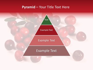 Frisch Obst Isoliert PowerPoint Template