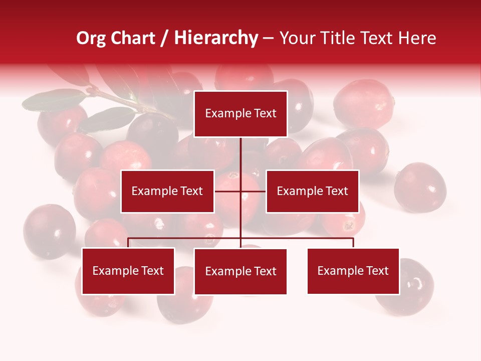 Frisch Obst Isoliert PowerPoint Template