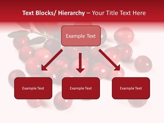 Frisch Obst Isoliert PowerPoint Template