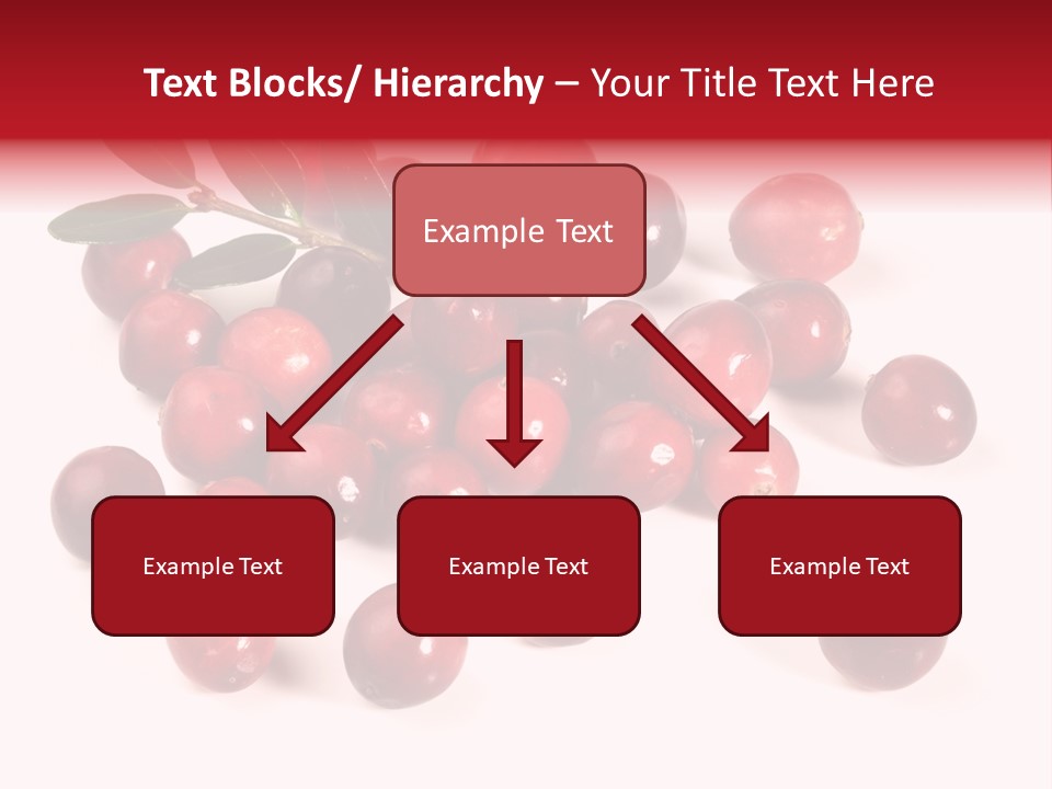 Frisch Obst Isoliert PowerPoint Template