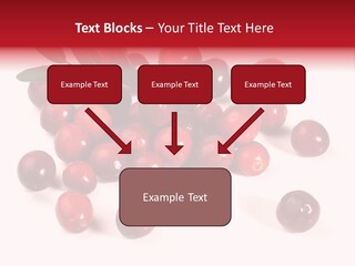 Frisch Obst Isoliert PowerPoint Template