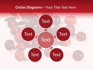 Frisch Obst Isoliert PowerPoint Template