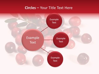 Frisch Obst Isoliert PowerPoint Template