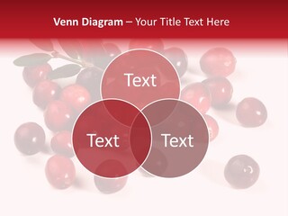 Frisch Obst Isoliert PowerPoint Template