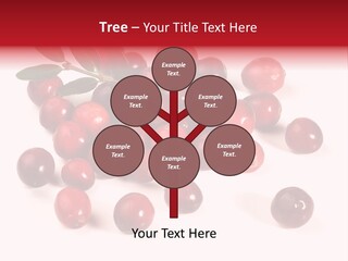 Frisch Obst Isoliert PowerPoint Template