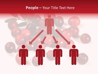 Frisch Obst Isoliert PowerPoint Template